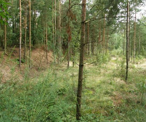 rezervací (p.č.