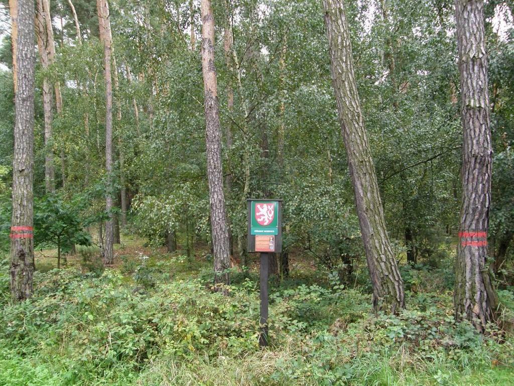 Severozápadní