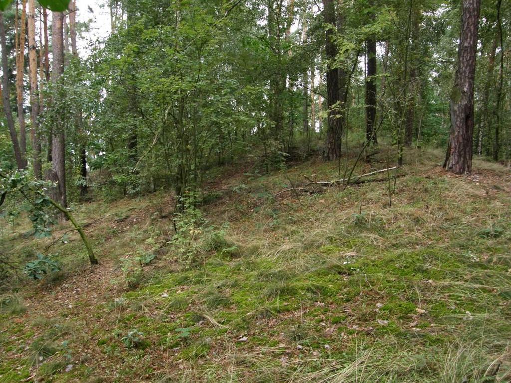 Nejvyšší bod