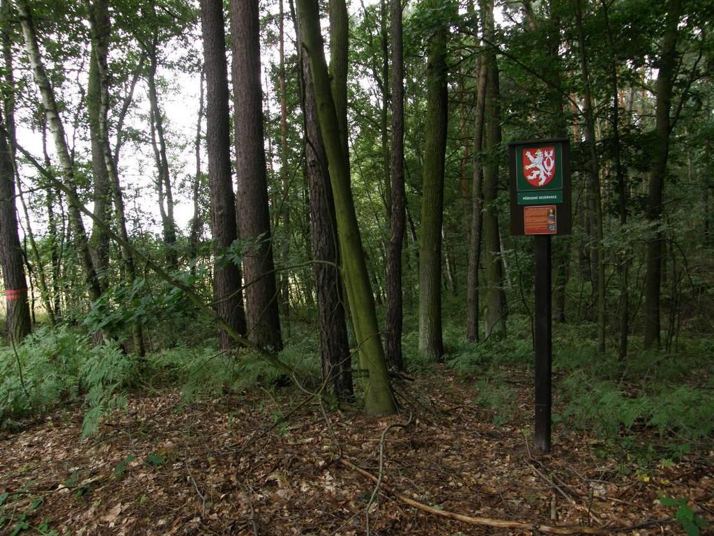 Severovýchodní hranice s informační tabulí
