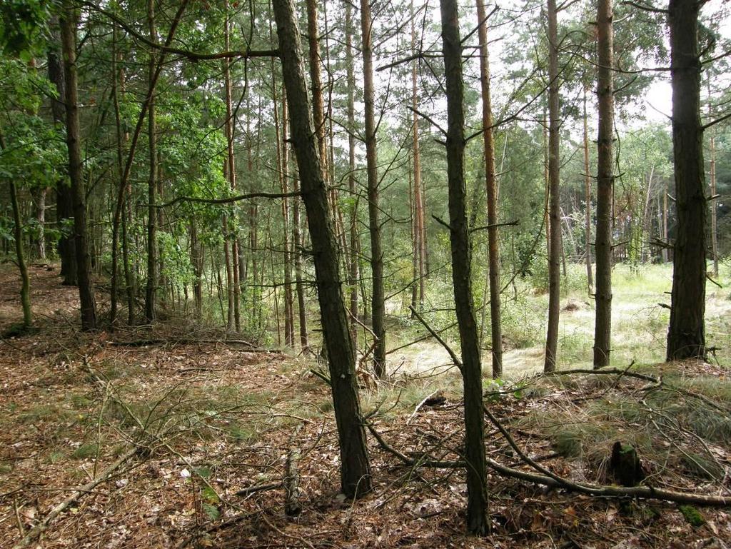 2009   2009 37