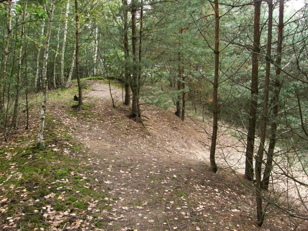 . Zarůstající bývalá pískovna na SV