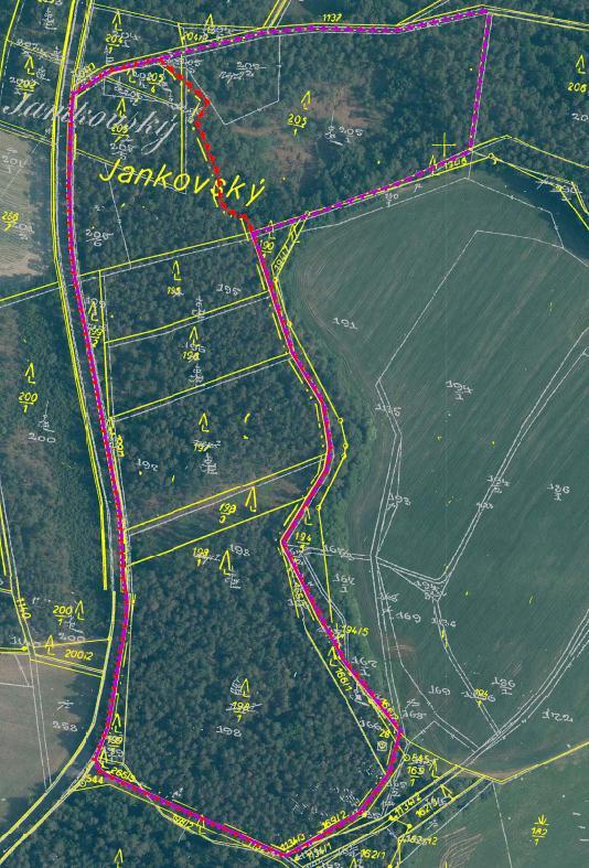 Katastrální mapka na ortofotu 2010 fialově