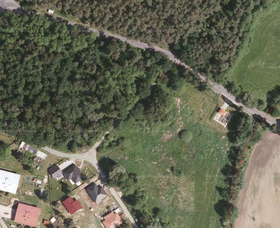 cz) Ve východní části dotčeného lesního pozemku se v současné době souvislý lesní porost nevyskytuje. Jedná se o jednotlivé skupiny stromů různého stáří a kvality.
