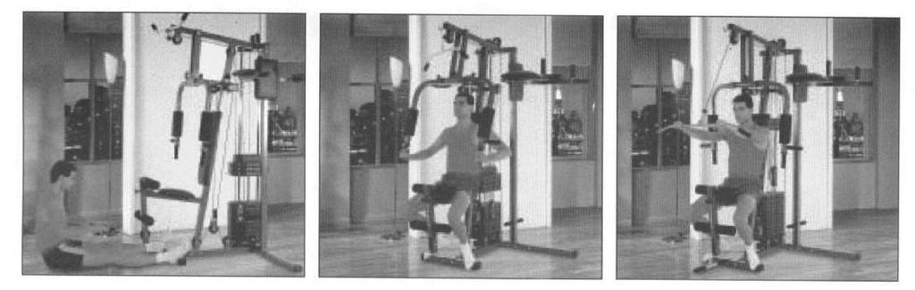 EN Exercising on home gym: Important: Exercises shown below are only for illustration purposes. This exercising manual is universal for several home gym models.