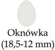 1 K (korunová mince) vrabec domácí