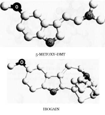 Dalším velmi důležitým tryptaminem je 5- metoxy-dmt neboli 5-MeO-DMT.