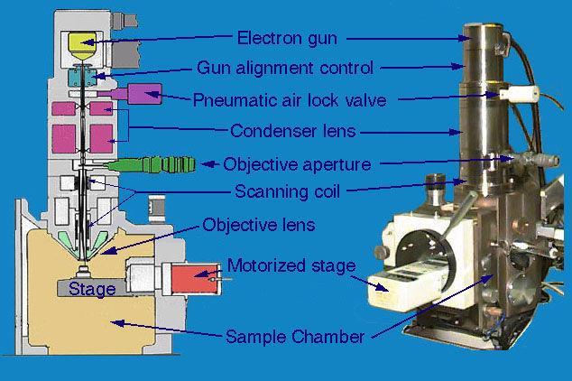 SEM - konstrukce a funkční prvky Electron gun přímo žhavená katoda (W) urychl.