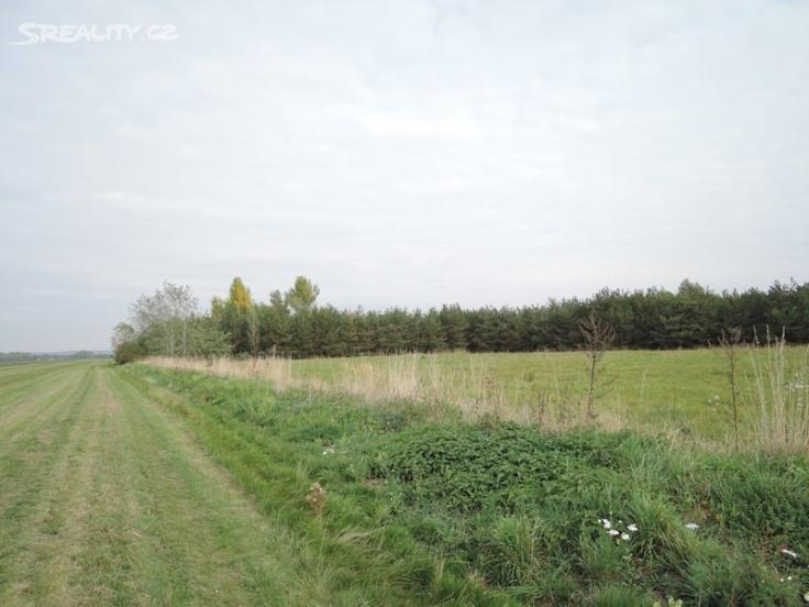 11 Popis: Předmět dražby: Ideální spoluvlastnický podíl o velikosti 1/3 na nemovitostech: Pozemek parc. č. 133/9 o výměře 15149 m2 - orná půda - pozemek parc. č. 134 o výměře 227 m2 - ostatní plocha - pozemek parc.