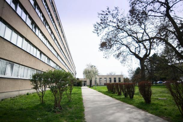 V zadním traktu budovy je restaurace, kterou provozuje externí nájemce. V roce 2016 byla zahájena obnova stávajícího vybavení ve studentských pokojích.