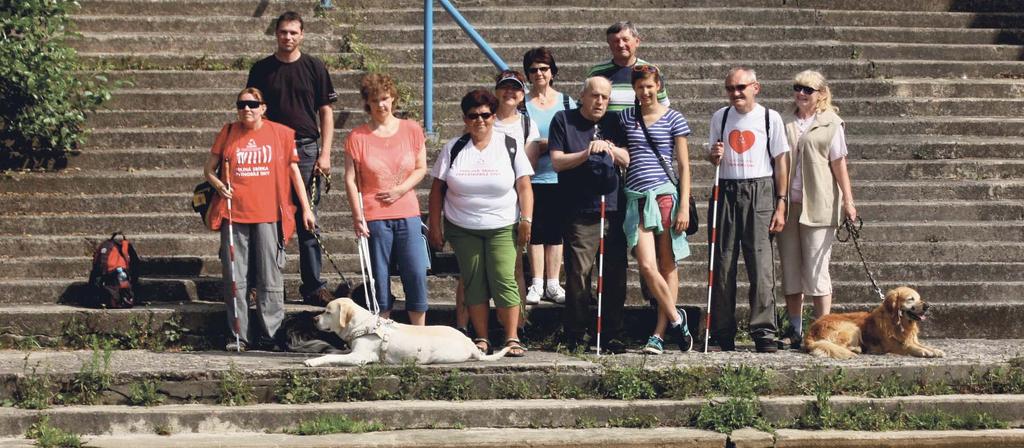 STRUKTURA SDRUŽENÍ A JEHO LIDSKÉ ZDROJE STRUKTURA SDRUŽENÍ Nejvyšším orgánem o.s. LORM Společnosti pro hluchoslepé je Valná hromada sestávající z členů sdružení, která zasedá 1x za dva roky.