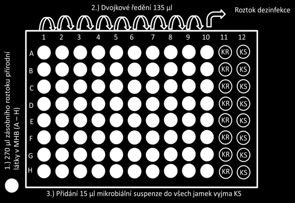 Následně bylo do každé jamky přidáno 15 μl mikrobiální suspenze (viz Obr. 22).