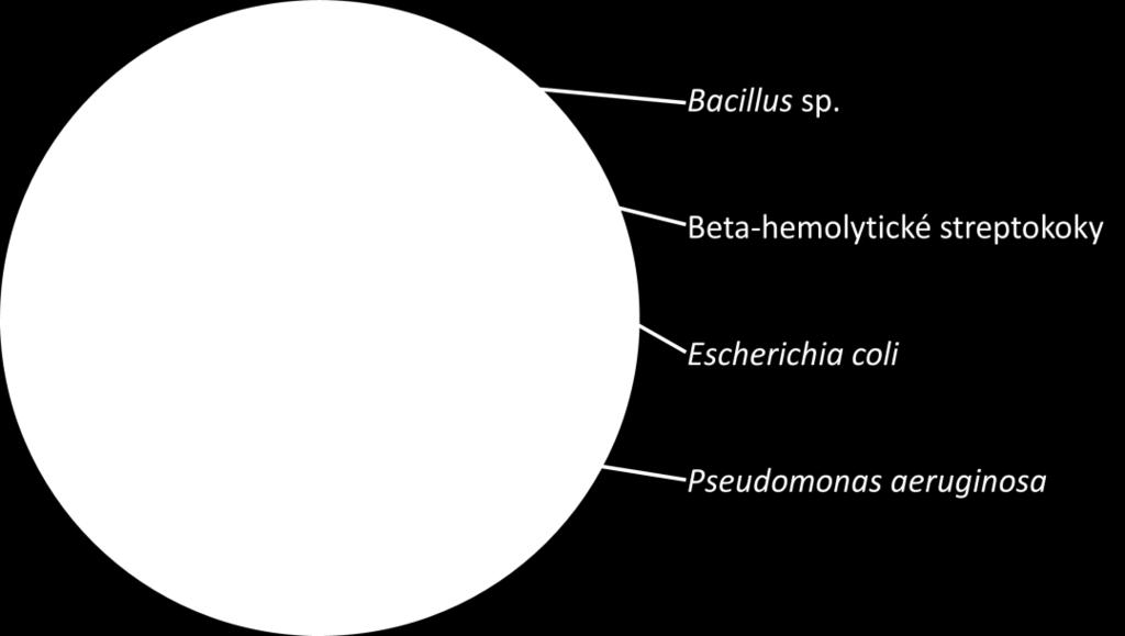 Další nebezpečí přítomnosti Ps. aeruginosa v ejakulátu kanců spočívá v jeho schopnosti množit se i při nižších teplotách (15-17 C), při kterých se skladují inseminační dávky.