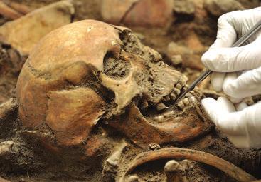 STANDARDY A PŘÍRUČKA K DOBRÉ PRAXI PÉČE O ARCHEOLOGICKÉ FONDY V EVROPĚ 32. Landesamt für Denkmalpflege und Archäologie Sachsen-Anhalt, Andrea Hörentrup 33.
