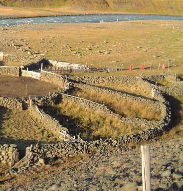 mnoha rozdílným právním normám evropských států. Otázky vlastnictví archeologického fondu a autorských práv by, pokud to je možné, měly být vyřešeny již během přípravy projektu.