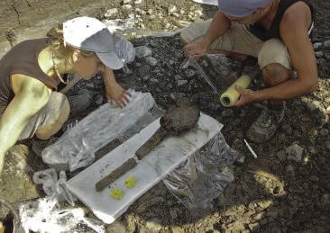 5.3 ANALÝZA DAT, SUMARIZACE PROJEKTU A PŘENOS FONDU V této fázi archeologického projektu stále platí principy nastíněné v předchozí části, avšak lze k nim připojit několik dalších doporučení. 5.3.1
