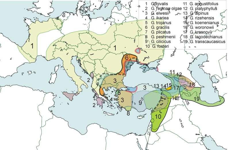 Jihoevropského, Malo-Asijského a Středoasijského původu