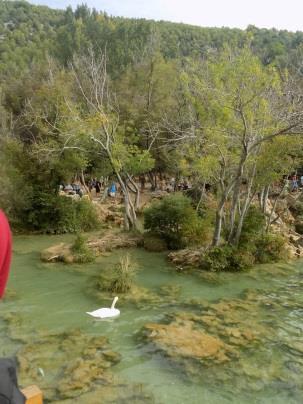 Národní park byl založen roku 1985 a svůj název získal podle řeky Krka, která jím protéká. Ta se vine od Dinárských hor pustým krasovým krajem až do Jaderského moře.