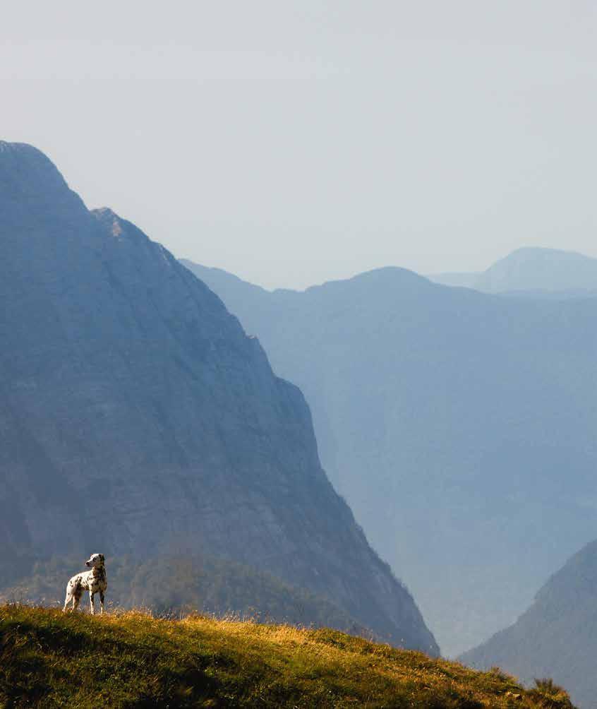 Správná volba pro vašeho psa Pro - Nature - Line Vyvážený výživový koncept - pro zvláštní požadavky úspěšných chovatelů.