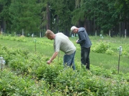 Vyhláška č. 215/2008 Sb.