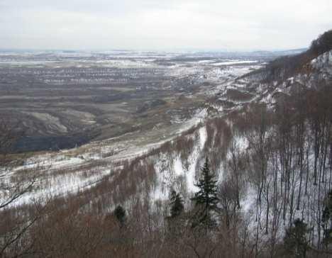 dodržení