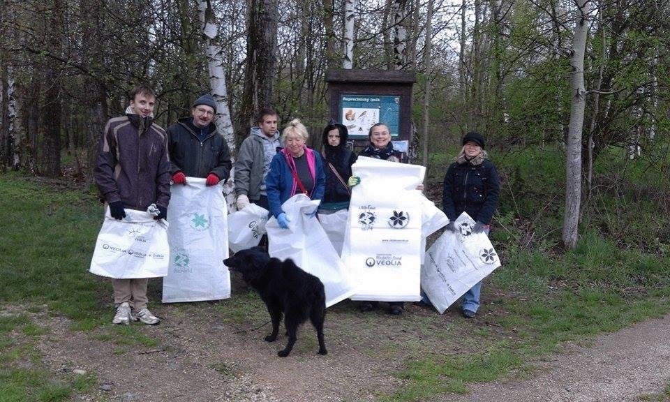 Akcím ke dni země předcházela kampaň Ukliďme Česko Ukliďme Liberec, uklízet bylo možno v různých lokalitách ve spolupráci s městem či neziskovými organizacemi.