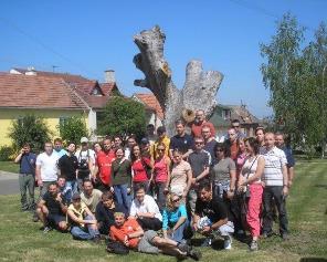 Výsadby