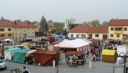 Monitoring populací prstnatců (Dactylorhiza, čeleď Orchidaceae) v PP Kalábová u obce Březová v CHKO Bílé Karpaty Projekt byl zaměřen na studium pozoruhodných populací vybraných zástupců rodu