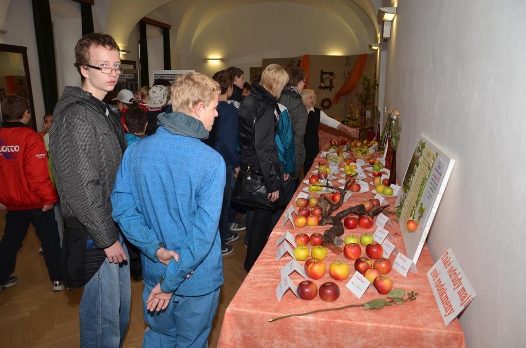 Obr. č. 8: Výstava ovoce v Redutě Ve čtvrtek 7. 11. 2013 proběhla v Přednáškovém centru Slováckého muzea přednáška PhDr. Lubomíra Procházky, CSc.
