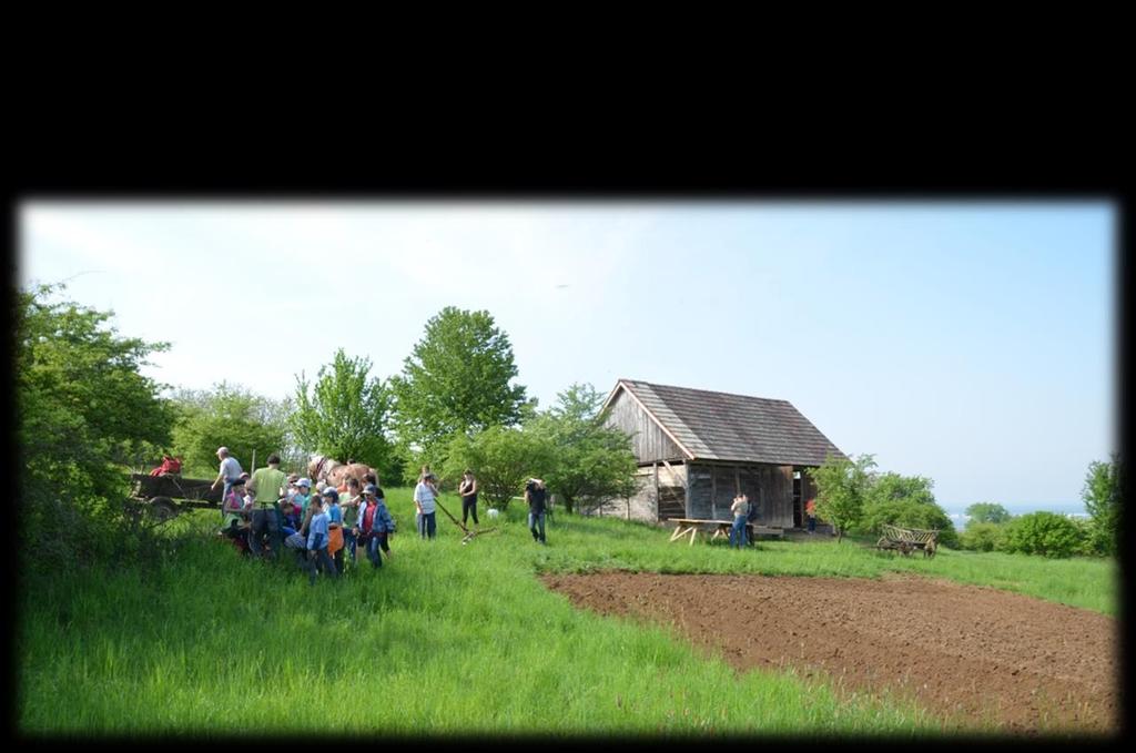 POSLÁNÍ SPOLEČNOSTI Posl
