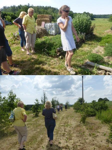 Pěstování a zpracování bylin 9. 6. 2018 V sobotu 9.6. se konal praktický workshop s tématikou pěstování a zpracování bylin.