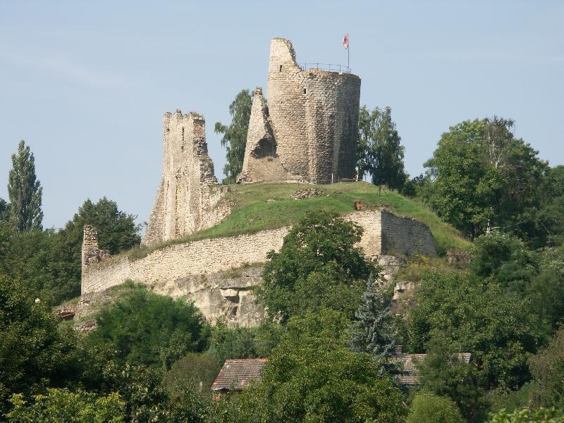 Panorama hradní zříceniny lákalo však i další malíře a rytce, proto se nám zachovalo mnoho vypodobení stavu hradu od první třetiny 19. století až dodnes.