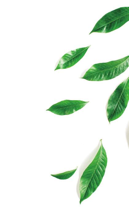 proti mastné pokožce proti padání vlasů proti lupům kombinace ošetření: + + + + + štětec Pro lepší aplikaci exfoliačního krému na pokožku hlavy jsme vytvořili štětec respektující