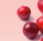 invertní cukr, čištěná voda, suchý koncetrát šťávy klikvy velkoplodé (Vaccinium macrocarpon), vitamín