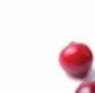 plodu klikvy velkoplodé (Vaccinium macrocarpon) 29,4 g 300 mg nestanoveno 1 2 kapsle denně spolknout a zapít dostatečným množstvím tekutiny.