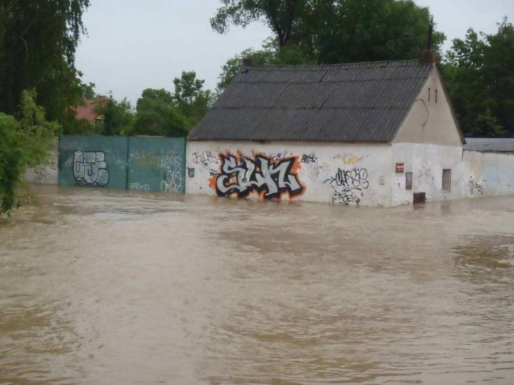 Obrázek č. 15: Kozinovo nám., 2.6.