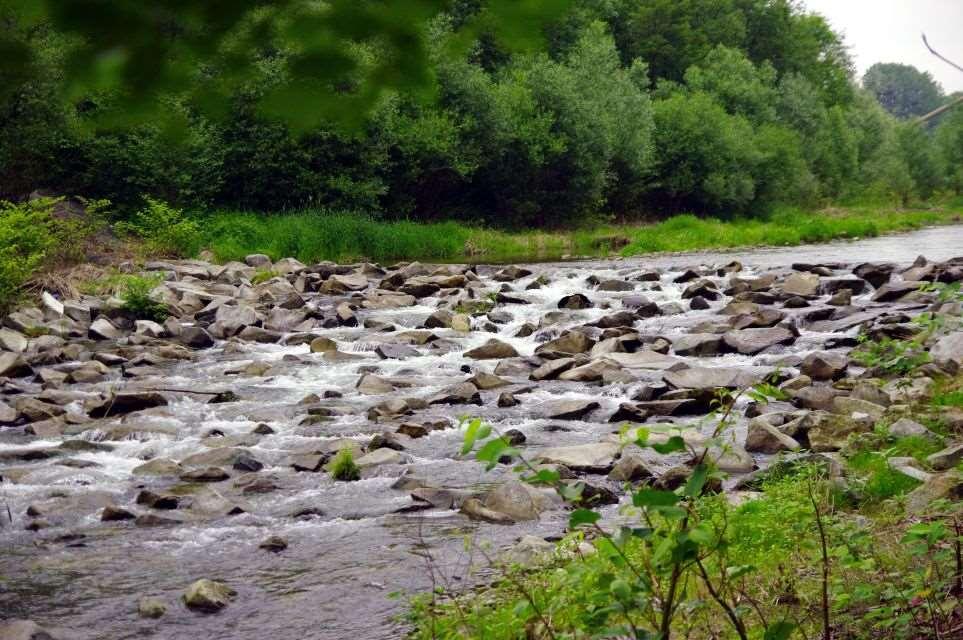 Hrazení bystřin