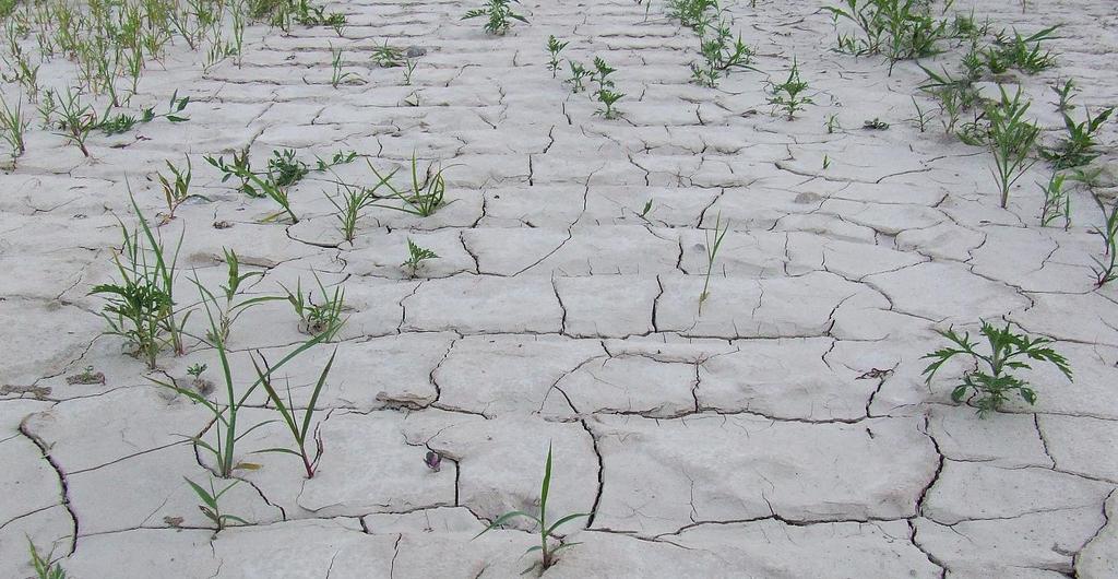 1 Úvod V současné době probíhají změny spojené s globální změnou klimatu.