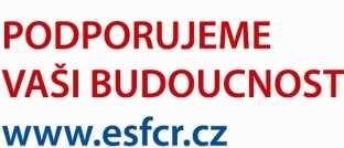 10 zkušenosti klientů z projektu (klienti + CEPAC) 12.