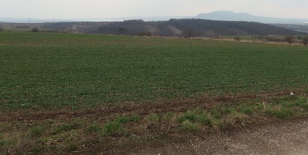 377 (PK), č. 2577/1 (PK), č. 2577/2 (PK) a č. 2578 (PK) zapsaných na listu vlastnictví č. 902 pro katastrální území Uherčice u Hustopečí, obec Uherčice, okres Břeclav, Jihomoravský kraj.