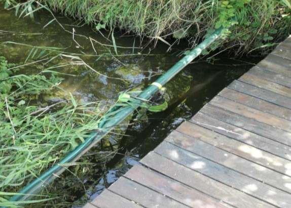 Pravděpodobná příčina pozitivní nálezy po dezinfekci systému pozitivní nálezy v