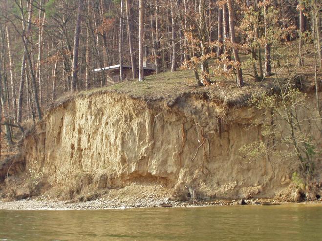 STABILIZACE BŘEHŮ ZA ÚČELEM MINIMALIZACE ZTRÁT LESNÍ PŮDY: D C B A B C D A původní říční koryto/original riverbed B původní oblast vegetačního doprovodu toku/original area of riparian vegetation C