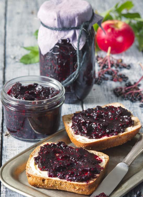 Vystačí na: asi 3 sklenice à 350 ml Doba přípravy: asi 30 minut 500 g očištěného černého bezu 500 g jablek (oloupaných a nakrájených na kousky) 1 celá skořice 1 zarovnaná KL Kyseliny citrónové Dr.