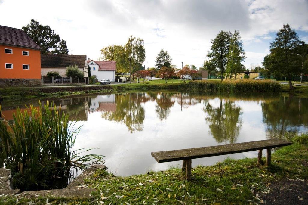 Ve Stříbře jsou 2 střední školy. Střední odborná škola nabízí vzdělání v oborech veřejnoprávní, agropodnikání a přírodovědné lyceum.