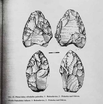 Ventriculites Houba v pazourku