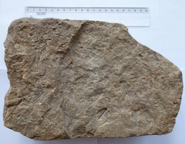 Ledovcový souvek s pozůstatky trilobitů Paradoxides a baltský jantar Nálezy z Ostravska představené na 4. setkání sběratelů souvků v muzeu souvků v Bolaticích 22. 4. 2017 Aleš Uhlíř Dne 7. 6.