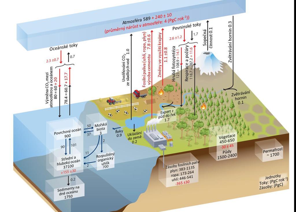 Uhlíkový cyklus Klimatologie Převzato z webu www.klimatickazmena.cz: Obr. 4.2: Zjednodušené schéma globálního cyklu uhlíku.