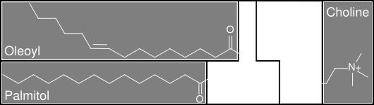 glykolipidy
