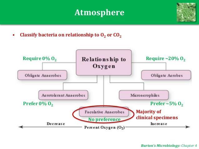 Modifikace atmosféry http://image.slidesharecdn.