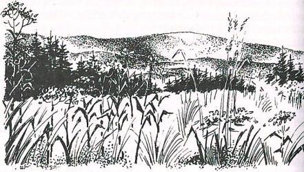 - 2 - ČERVENEC 2018 4.-8.7.